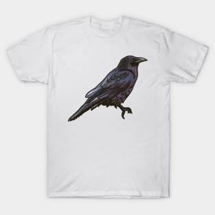 Common Raven T-Shirt